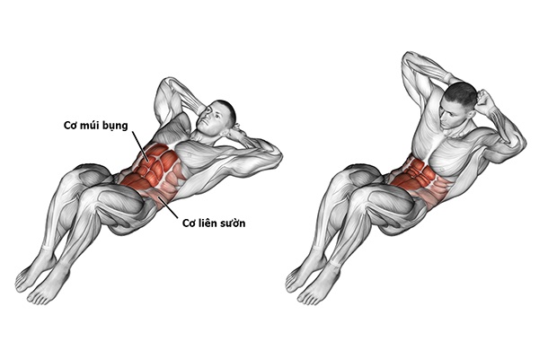 Gập bụng có tác dụng gì?