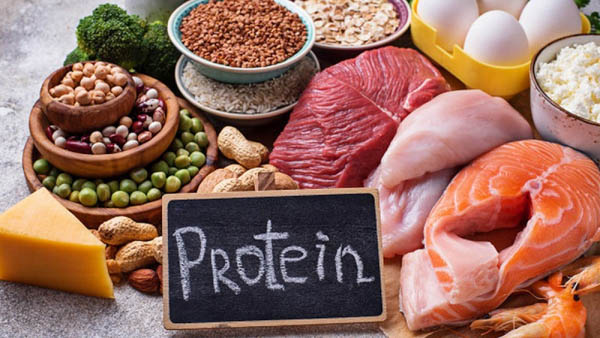 Nguồn protein cần thiết cho cơ thể