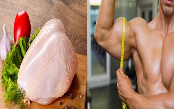 Protein là thành phần chính cấu tạo nên cơ bắp và mô tế bào