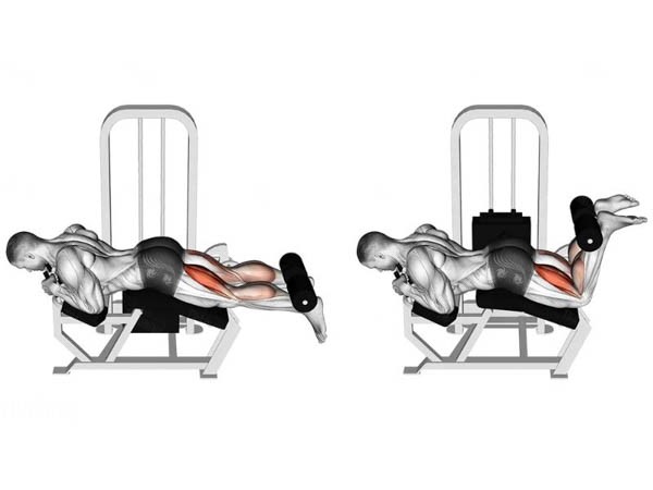 Hướng dẫn bài tập Lying Leg Curl