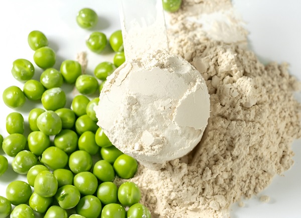 Organic protein giá bao nhiêu? Cách chọn Protein phù hợp 