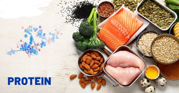 Protein bao gồm những gì? Các loại protein và nhu cầu bổ sung 