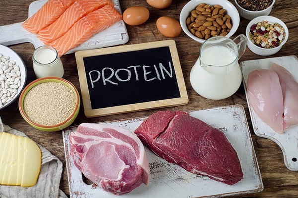 Có hai loại protein chính bao gồm protein động vật và protein thực vật