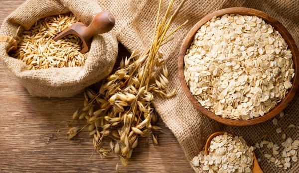 Hàm lượng protein trong yến mạch