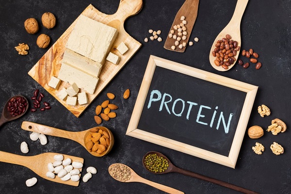 Mỗi gram protein cung cấp 4 calo