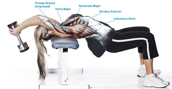 Dumbbell Pullovers: Bài tập chuyên sâu cho vùng nách