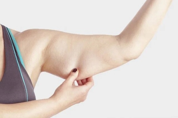 Cấu tạo và đặc điểm của mỡ bắp tay